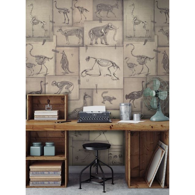Paneelitapetti Mindthegap Zooarchaeology 1,56x3 m