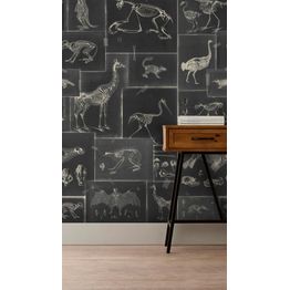 Paneelitapetti Mindthegap Zooarchaeology Anthracite 1,56x3 m