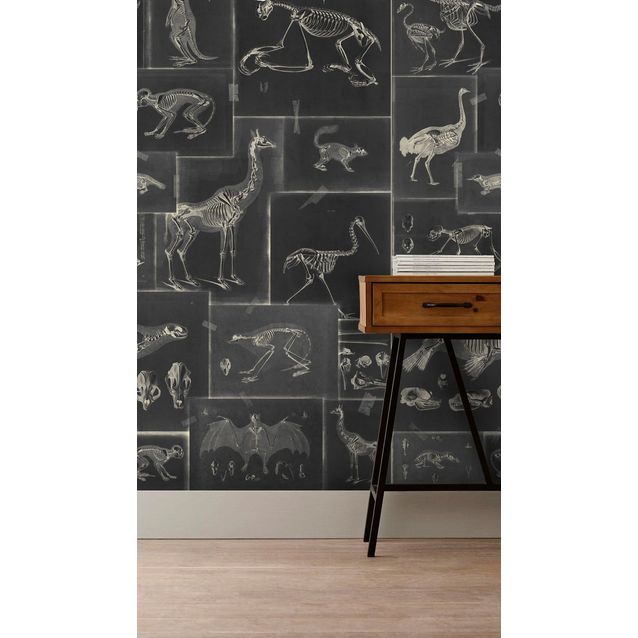 Paneelitapetti Mindthegap Zooarchaeology Anthracite 1,56x3 m