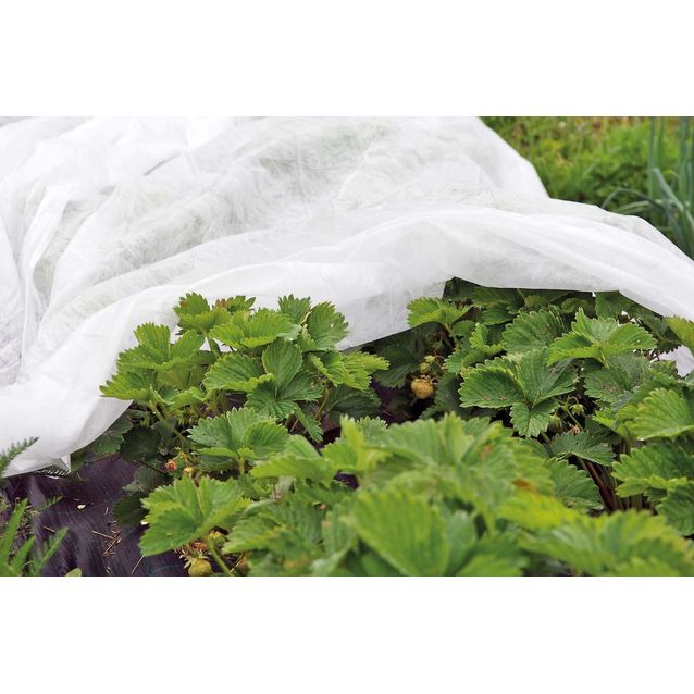 Peiteharso Viheraarni 17 g 2x250 m