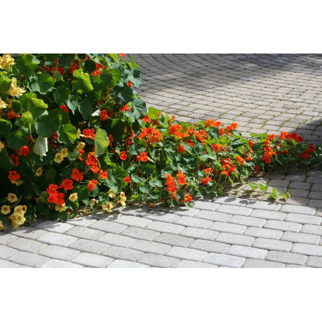 Perinnekivi 172x115x60 mm harmaa