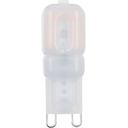 LED-pienoislamppu Airam Oiva G9 3000K 180lm 2kpl