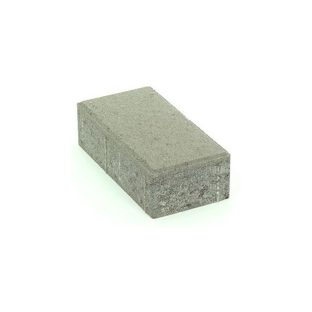 Pihakivi Rudus Kartanokivi 80 278x138x80 mm sileä harmaa