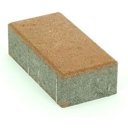 Pihakivi Rudus Kartanokivi 80 278x138x80 mm sileä hiekanruskea