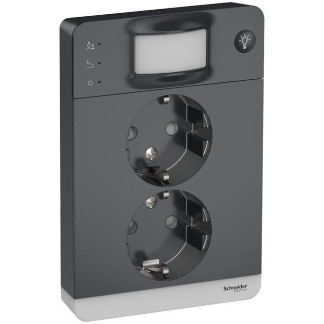 Pistorasia Schneider Electric Exxact, 2-osainen, peitelevyllä, liiketunnistin 160° ja valo integroituna JL 2X IP21, antrasiitti