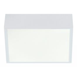 Plafondi Acri IP44 220x220x76 mm valkoinen