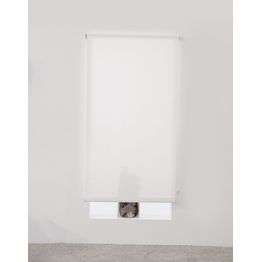 Rullaverho Hasta Screen valkoinen eri kokoja