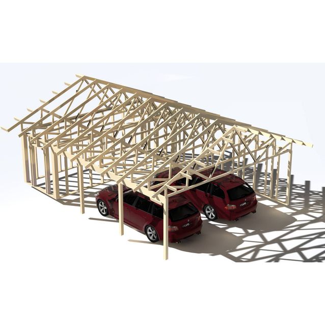 Havainnekuva kahden auton katoksen runkopaketista