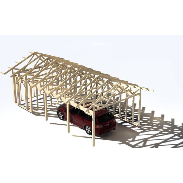 Havainnekuva kahden auton katoksen runkopaketista