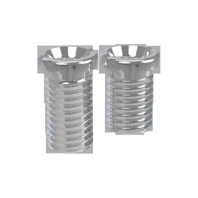 Koripohjaventtiilen ruuvit 20 ja 25 mm