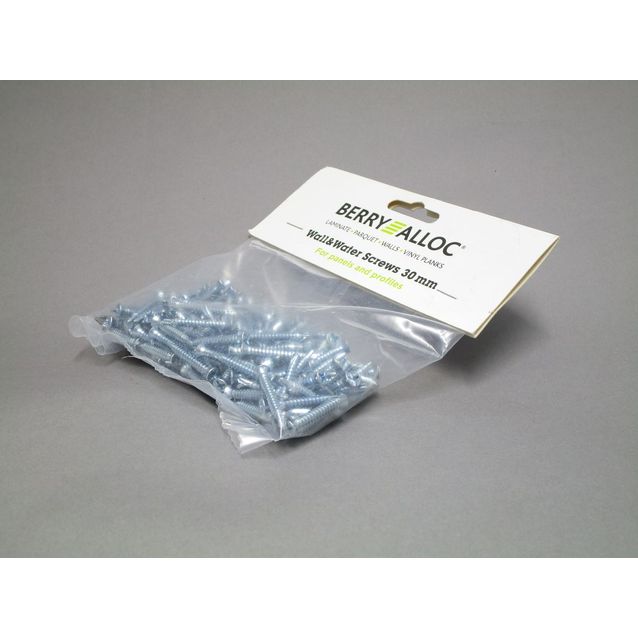 Ruuvi Berry Alloc Wall&Water 4,2 x 30 mm 200 kpl