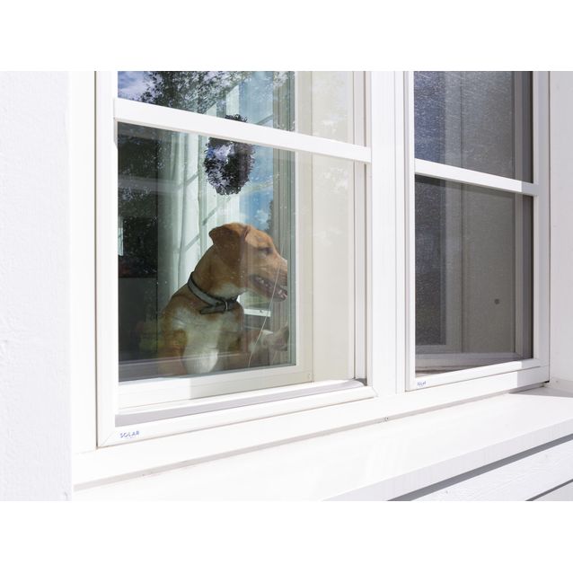 Hyönteisverkko ikkunaan SOLAR, siitepölysuojattu, mittatilaus