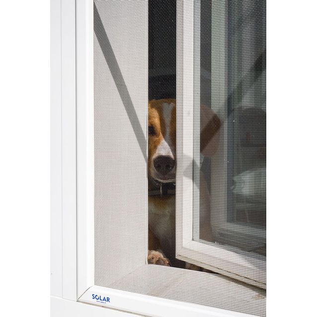 Hyönteisverkko ikkunaan SOLAR Extravahva, mittatilaus