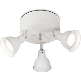 Spottivalaisin Sessak Mario 3-osainen pyöreä eri värejä