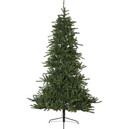 LED-valaistu joulukuusi Star Trading Minnesota, sisä- ja ulkokäyttöön, eri kokoja