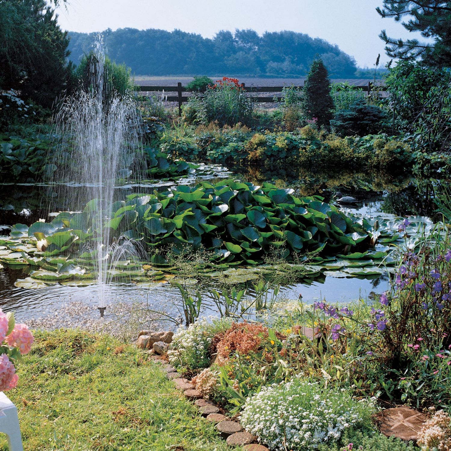 Suihkulähdepumppu Elimax 9000 pihalla