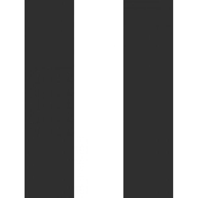 Tapetti Esta Black White with a splash of Gold 139111 0,53x10,05m