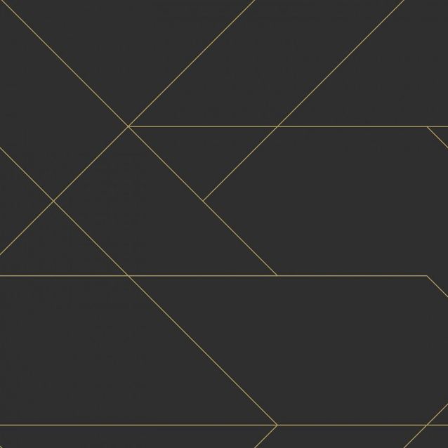 Tapetti Esta Black White with a splash of Gold 139144 0,53x10,05m