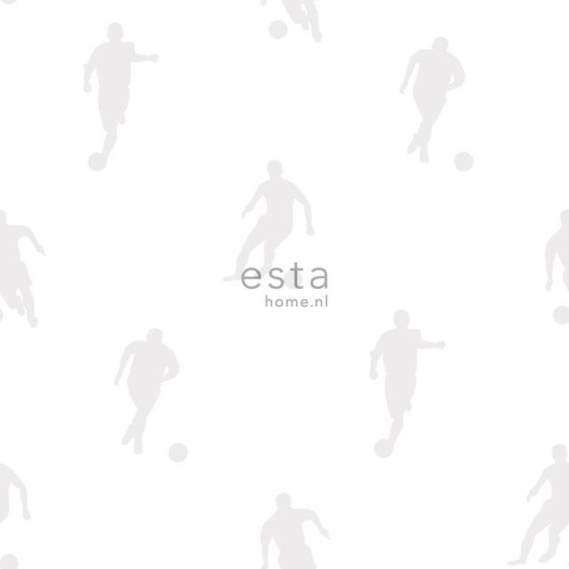 Tapetti Esta College 128802 0,53x10,05 m valkoinen/harmaa