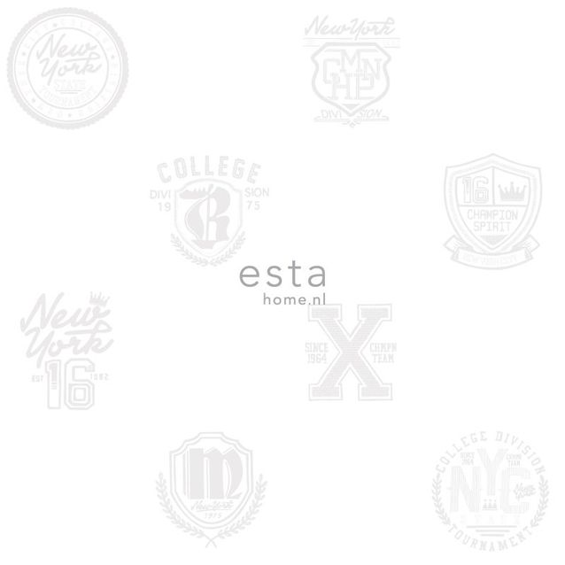 Tapetti Esta College 128805 0,53x10,05 m valkoinen/harmaa 