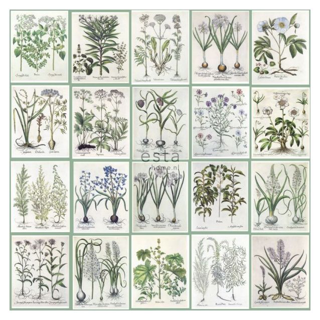 Tapetti Esta Greenhouse 158826 46,5 cm x 8,37 m vihreä/valkoinen/sininen/harmaa/liila/punainen