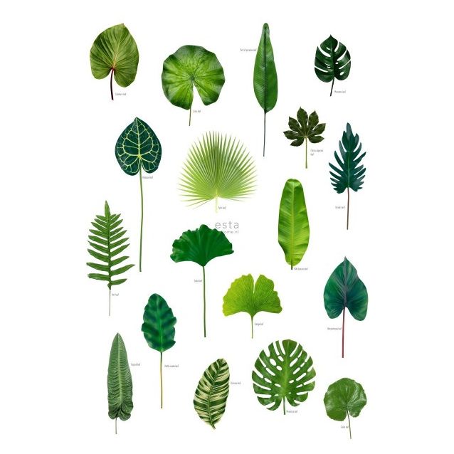 Tapetti Esta Greenhouse 158831 186 cm x 2,79 m valkoinen/vihreä