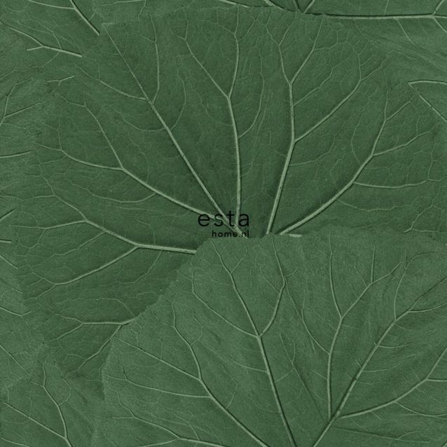 Tapetti ESTA Jungle Fever 138996 0.53x10.05m non-woven vihreä