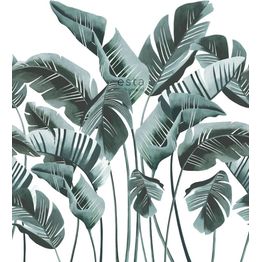 Tapetti ESTA Jungle Fever 158898 1.86x2.79m non-woven vihreä/valkoinen