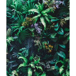 Tapetti ESTA Jungle Fever 158900 2.325x2.79m non-woven monivärinen