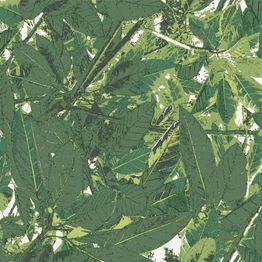 Tapetti Decor Maison Belle 5337-3, non-woven, kasvi, vihreä