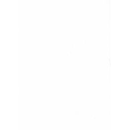 Tapetti Sandudd Rantaniitty 5261-1, 0,53x11,20 m, non-woven, yksivärinen, valkoinen