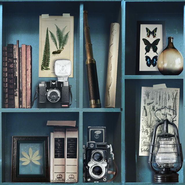 Tapetti Sandudd Vermeil 100277, 0,52x10,05m, sininen/monivärinen, non-woven