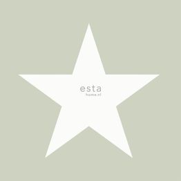 Tapetti Esta Regatta Crew Surf Edition 138948, tähti, vihreä/harmaa