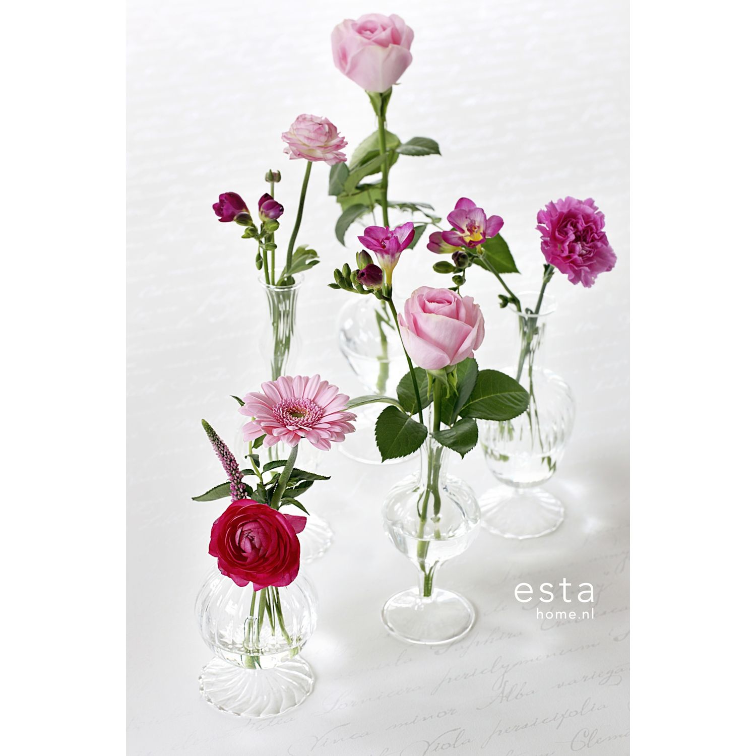 Handwriting Latin Flower Names -tapetin hopeanhohtoinen kaunokirjoitus hohtaa kauniisti kukkamaljakoiden alla