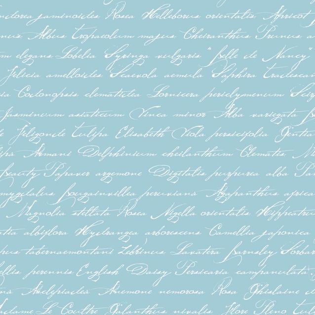 Tapetti Handwriting Latin Flower Names 128037 0,53x10,05 m akvamariini non-woven