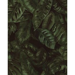 Tapetti Rebel Walls Amazon Fern, 0.50x10m, non-woven, peikonlehti, vihreä