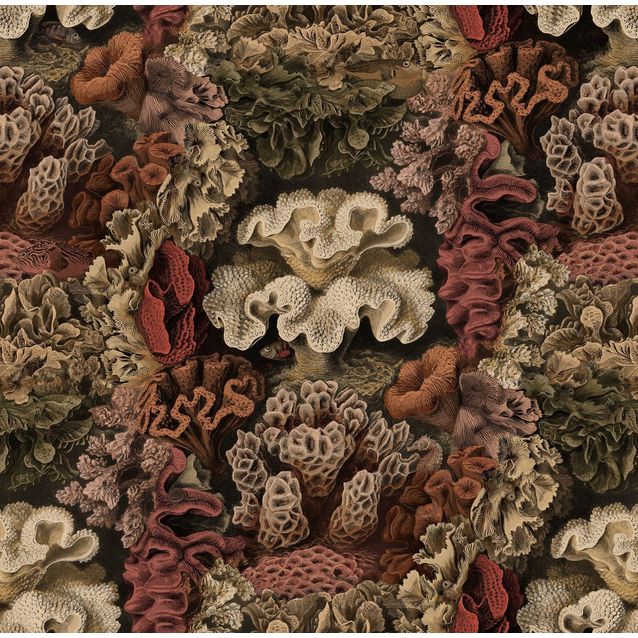 Tapetti Rebel Walls Aquila Rust 0,50x10 m non-woven