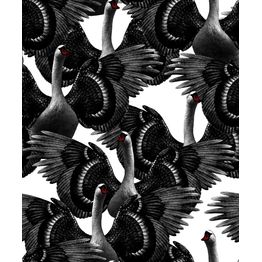 Tapetti Studio Lisa Bengtsson Swan lake, non-woven, joutsen, mustavalkoinen