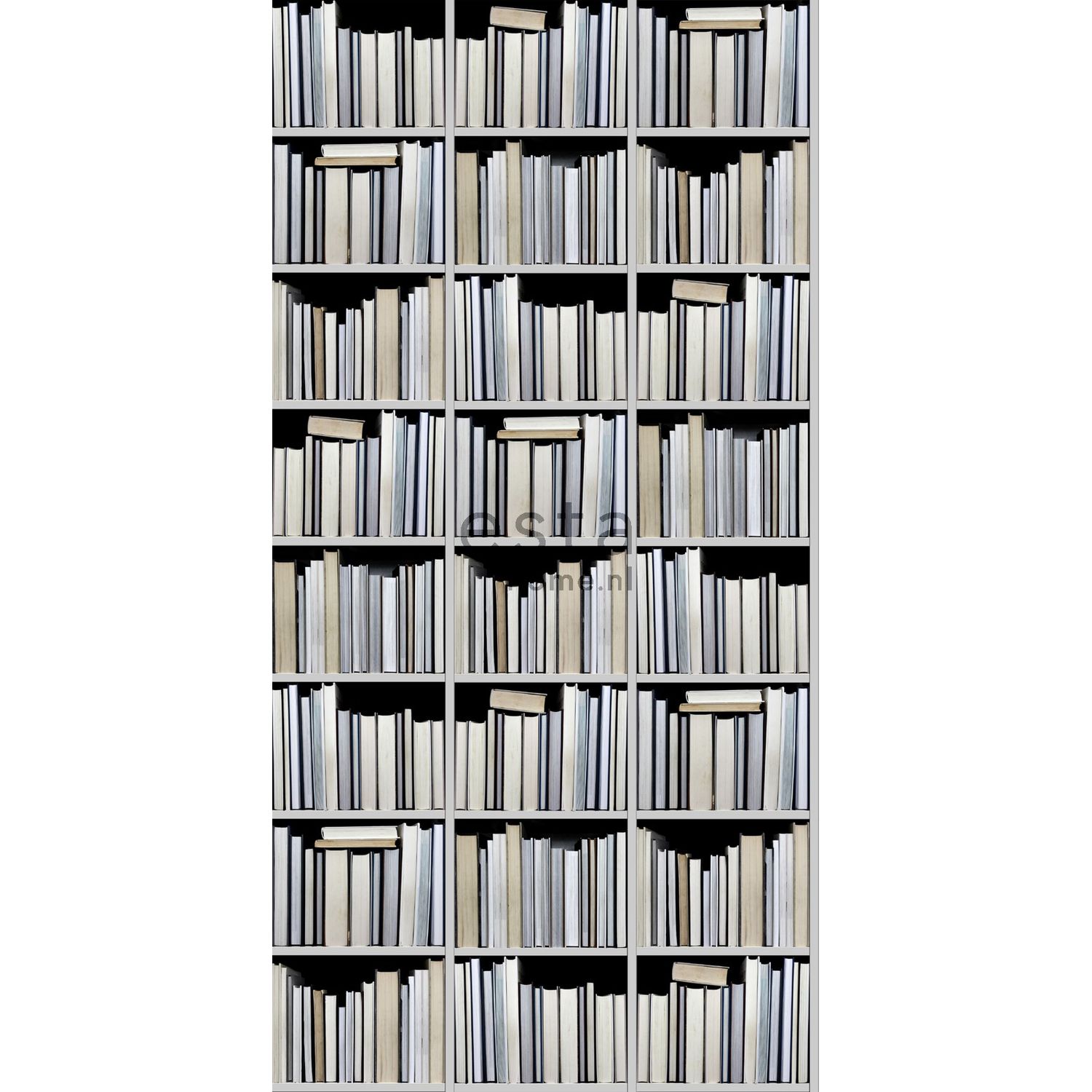 Tapetti WallpaperXXL Bookshelves 158205 46,5 cm x 8,37 m