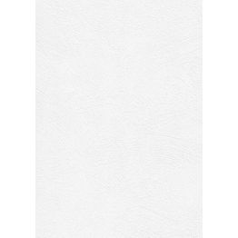 Tasoitetapetti Patent Decor Express 2216, 0,75x 25m, yksivärinen, valkoinen