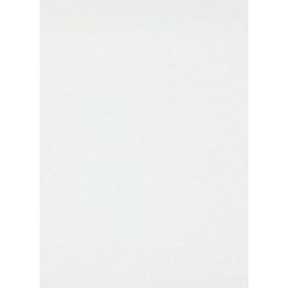 Tasoitetapetti Patent Decor Premium 9769, 1,06x25m, yksivärinen, valkoinen