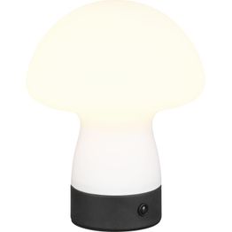 LED-pöytävalaisin Trio Dooley, ladattava