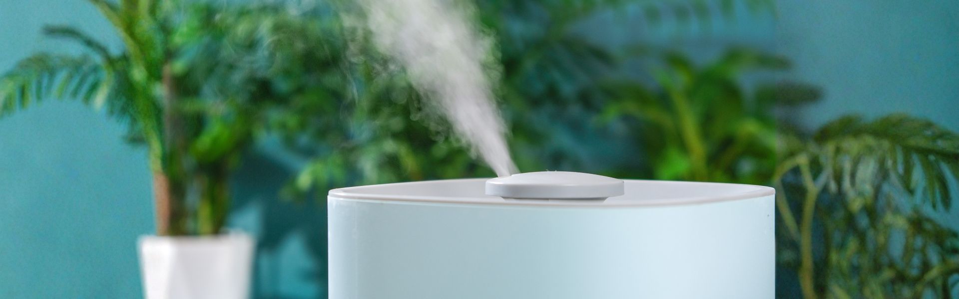 Paras ilmankostutin – Vertailu ja kokemukset