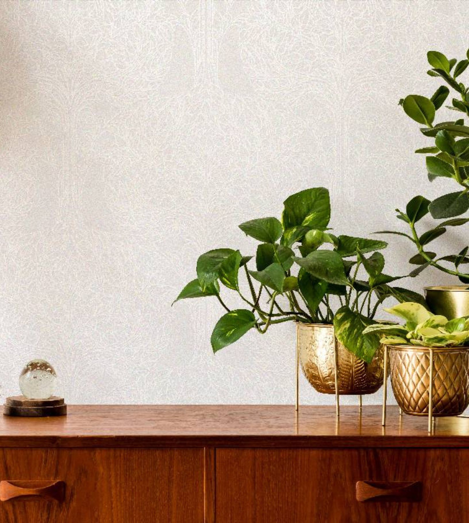 Sandudd Rolleri -tapetti valkoisella kuviolla seinällä