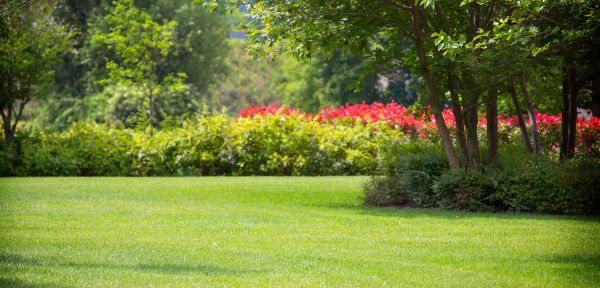 Piha ja puutarha ohjeet ja ideat